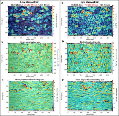 Hydrogen-Induced Micro-Strain Evolution in Super Duplex Stainless Steel—Correlative High-Energy X-Ray Diffraction, Electron Backscattered Diffraction, and Digital Image Correlation